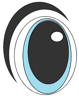 Left Eye